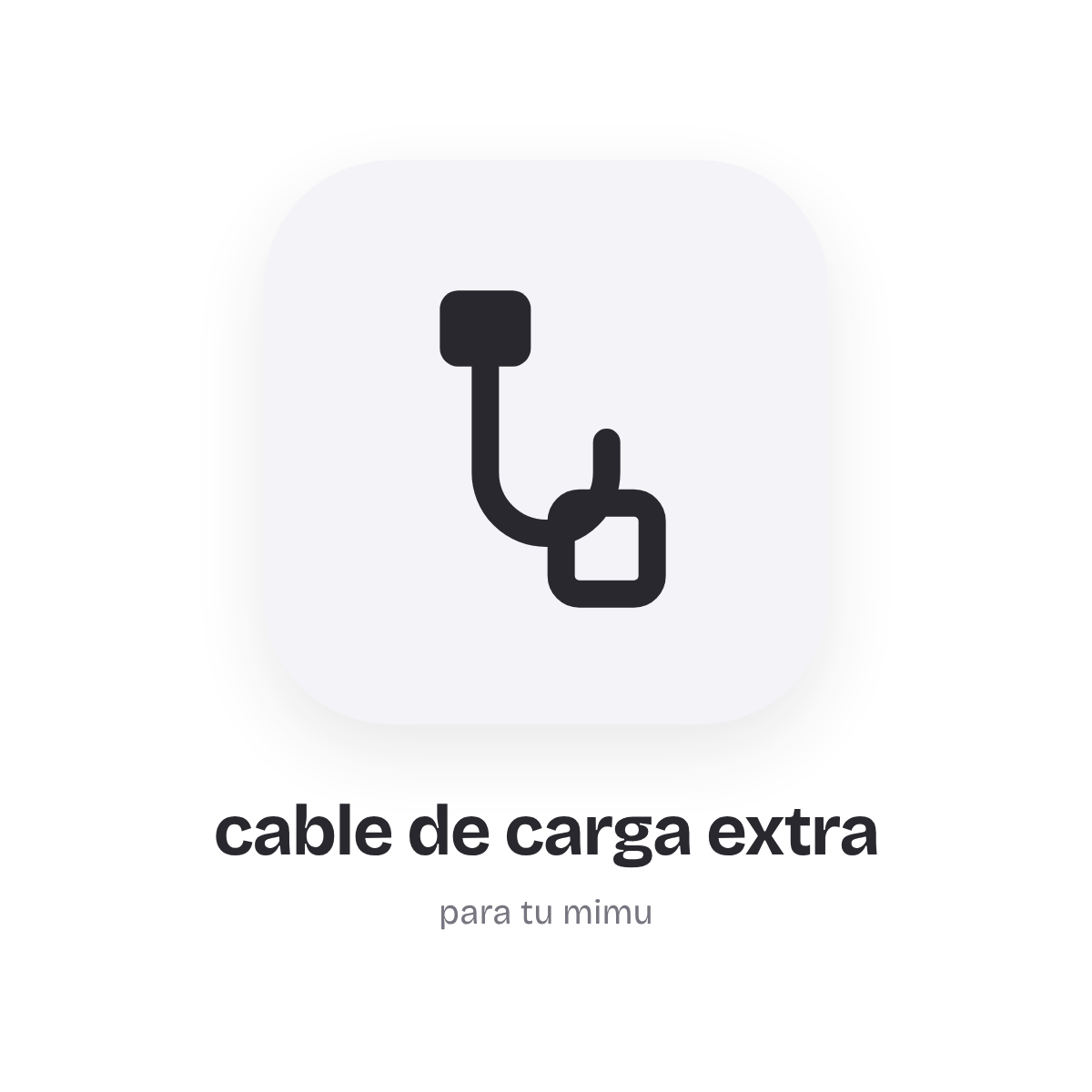 cable de carga extra